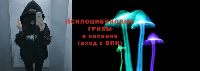 Альфа ПВП Медвежьегорск