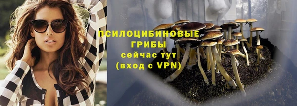 Альфа ПВП Медвежьегорск