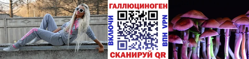 Псилоцибиновые грибы Psilocybe  Купить  Мичуринск 